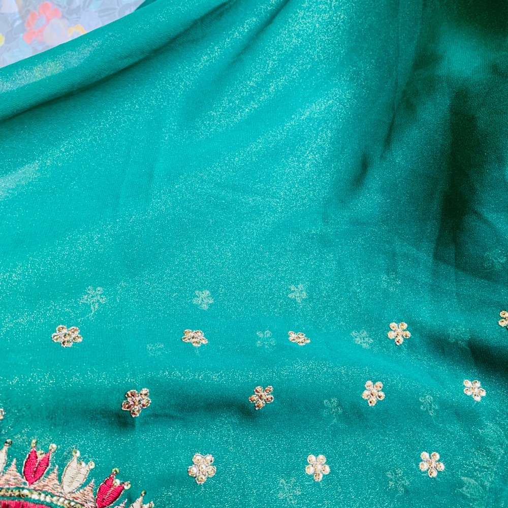 New net chiffon saree blouse Indian pakistani - Picture 7 of 7